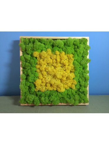 Mechov&yacute; obraz /6/  34 cm x 34 cm 