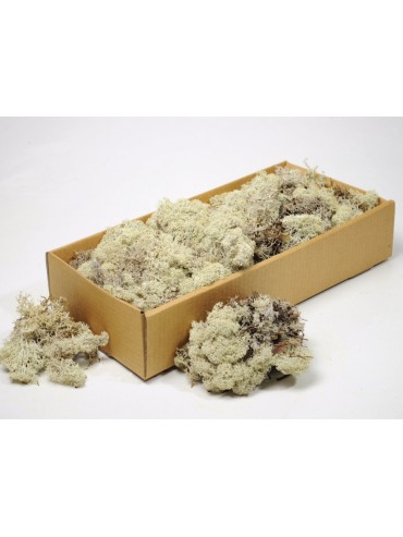 Mech Origin&aacute;l  0.5 kg