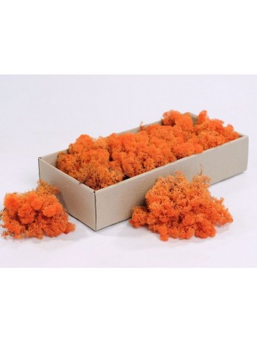 Mech Oranžov&yacute;  0,5 kg