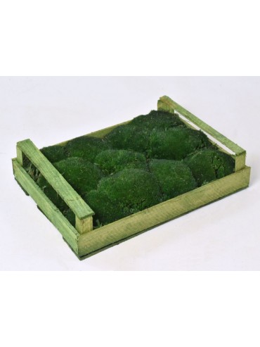 MECH KOPEČKOV&Yacute; Tmav&eacute; Zelen&yacute; 0,1m&sup2;